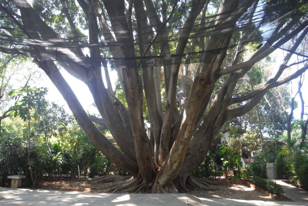 Oaxaca Mision De Los Angeles מראה חיצוני תמונה